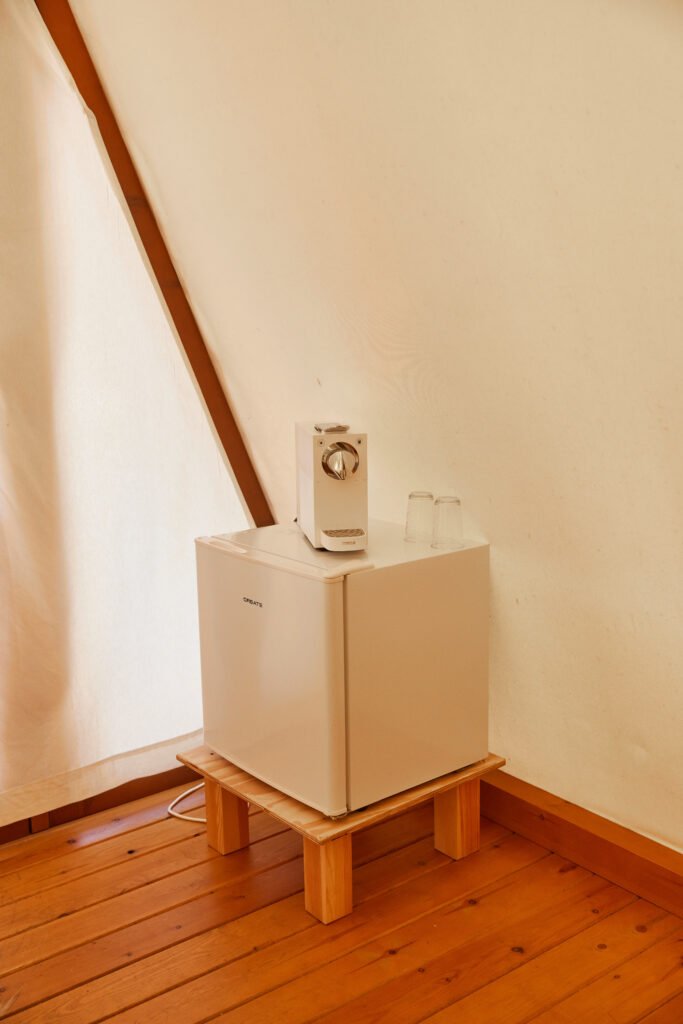 Taiga Breña Experience