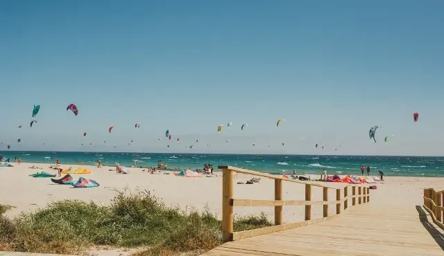 New season in BiBo Tarifa